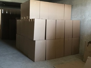 Footwear Loading Inspections in Germany